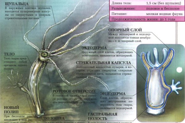 Ссылки на сайты в даркнете