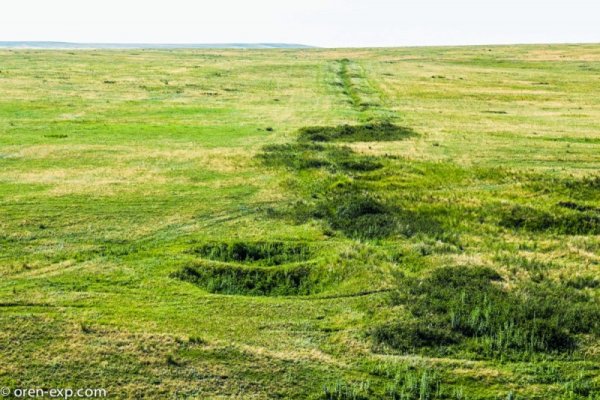 Кракен ссылка официальная