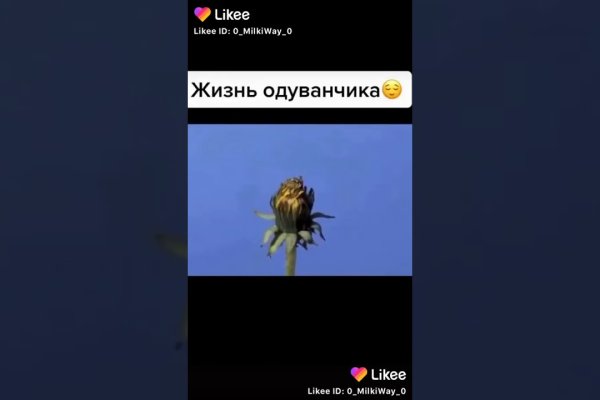 Кракен как войти через тор